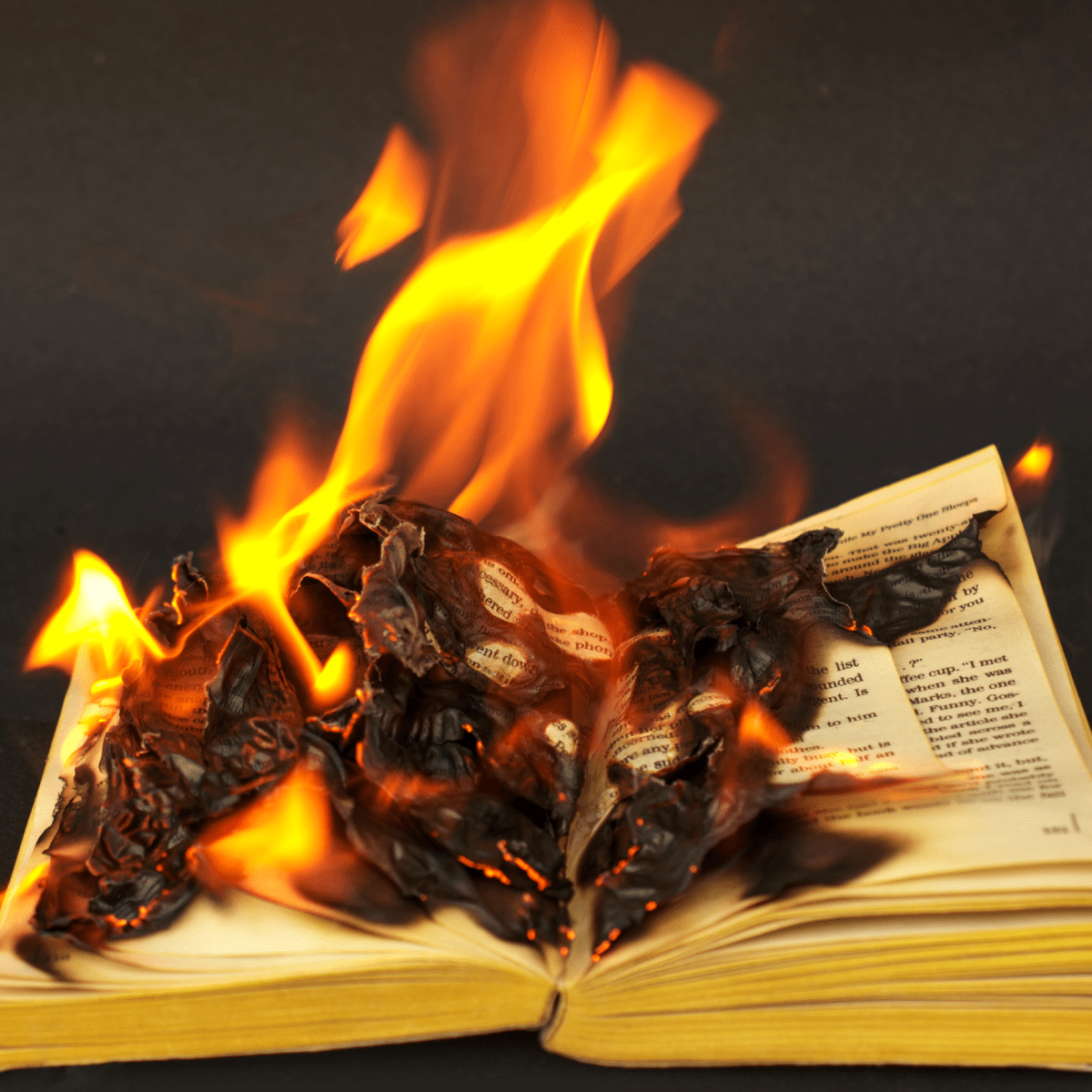 Ban the Book: From Censorship to Liberation – Exploring the History and Impact of Book&nbsp;Banning